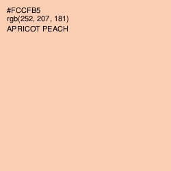#FCCFB5 - Apricot Peach Color Image